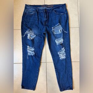 GoGo Jeans Women’s Size 24 Blue Distressed High Rise Ankle Fall Fashion Jeans
